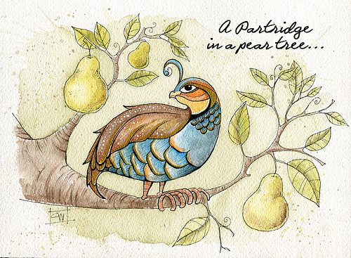 partridge